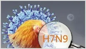 禽流感出现抗药性病毒株及H7N9疫苗研究 | 养殖什么赚钱