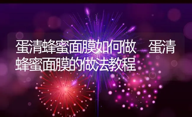 蛋清蜂蜜面膜如何做 蛋清蜂蜜面膜的做法教程 | 养殖资料投稿