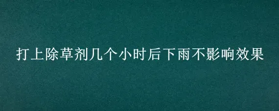 打上除草剂几个小时后下雨不影响效果