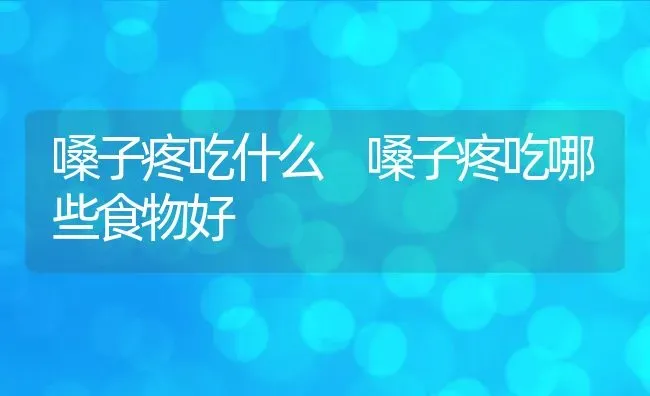 嗓子疼吃什么 嗓子疼吃哪些食物好 | 养殖资料投稿