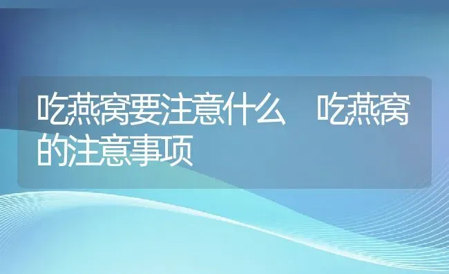 吃燕窝要注意什么 吃燕窝的注意事项 | 养殖资料投稿