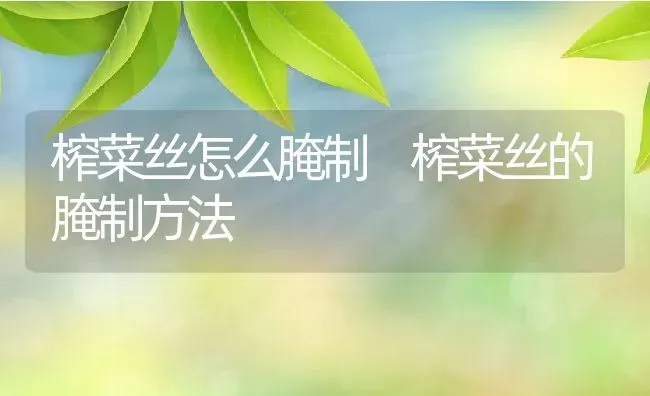 榨菜丝怎么腌制 榨菜丝的腌制方法 | 养殖资料投稿