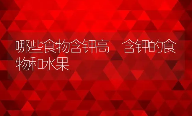 哪些食物含钾高 含钾的食物和水果 | 养殖资料投稿