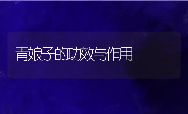 青娘子的功效与作用 | 养殖资料投稿