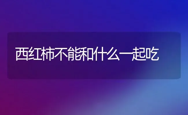 西红柿不能和什么一起吃 | 养殖资料投稿