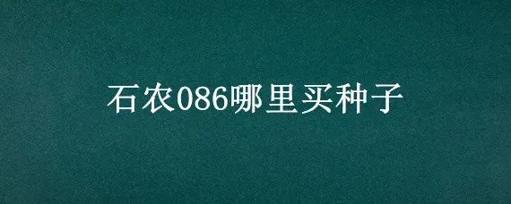 石农086哪里买种子