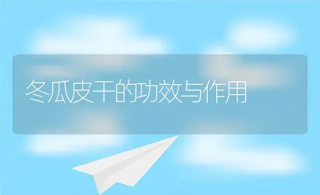 冬瓜皮干的功效与作用 | 养殖资料投稿