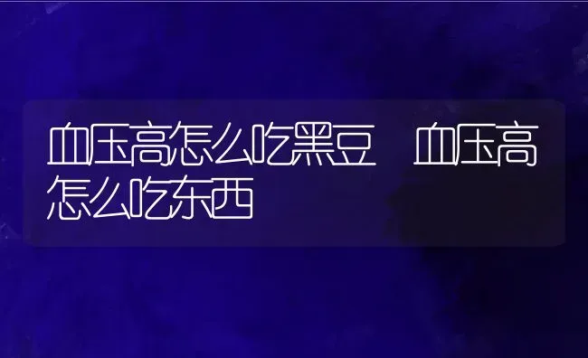 血压高怎么吃黑豆 血压高怎么吃东西 | 养殖资料投稿