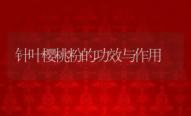 针叶樱桃粉的功效与作用 | 养殖资料投稿