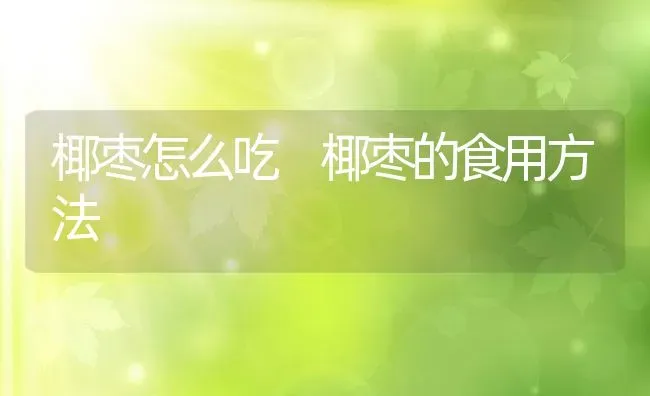 椰枣怎么吃 椰枣的食用方法 | 养殖资料投稿