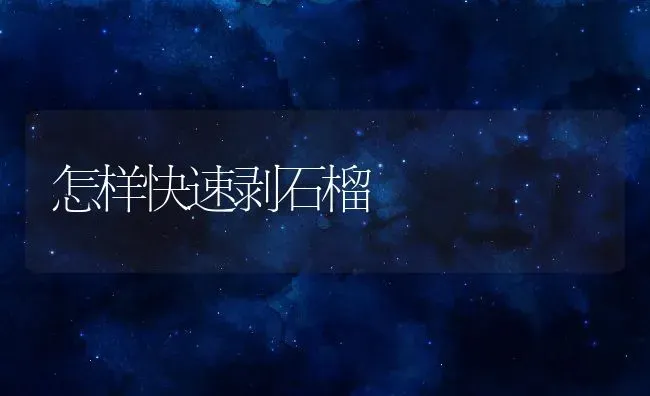 怎样快速剥石榴 | 养殖资料投稿
