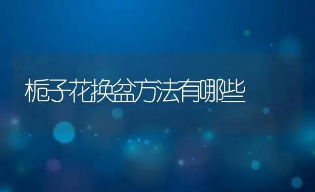 栀子花换盆方法有哪些 | 养殖资讯