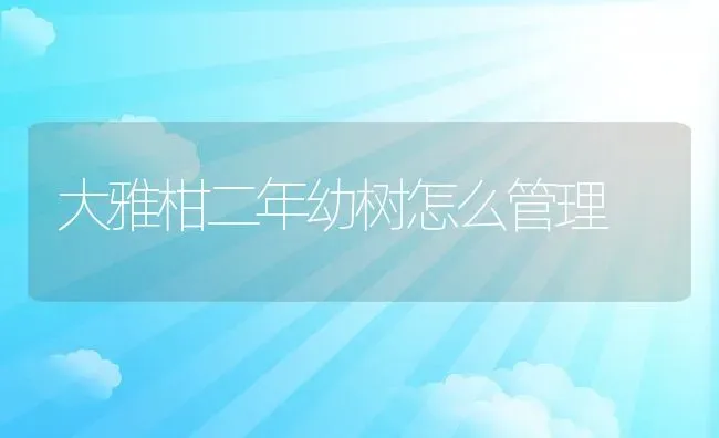 大雅柑二年幼树怎么管理 | 养殖资讯