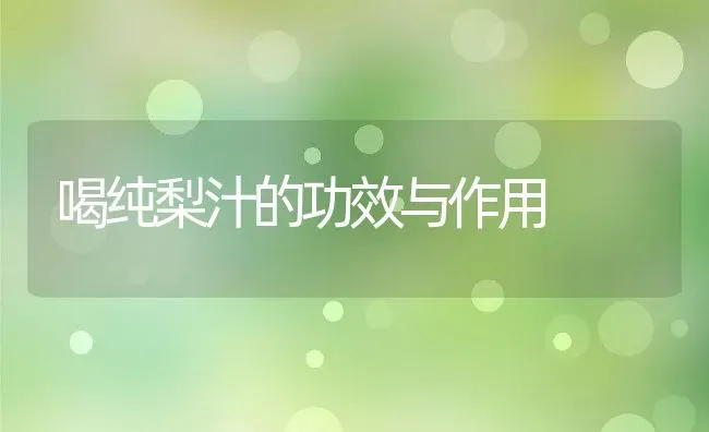 喝纯梨汁的功效与作用 | 养殖资料投稿