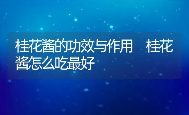 桂花酱的功效与作用 桂花酱怎么吃最好 | 养殖资料投稿