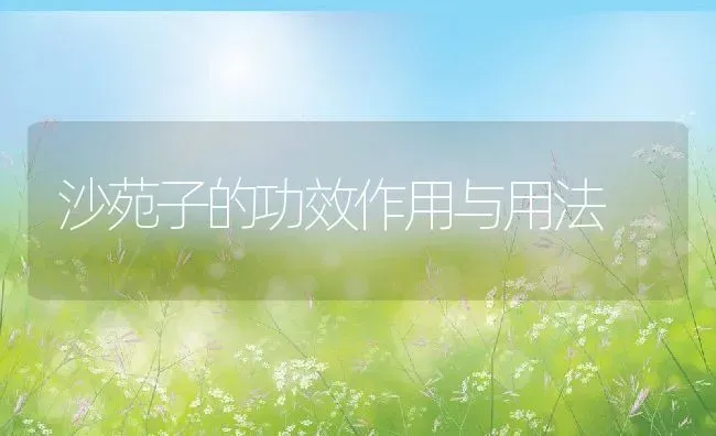 沙苑子的功效作用与用法 | 养殖资料投稿