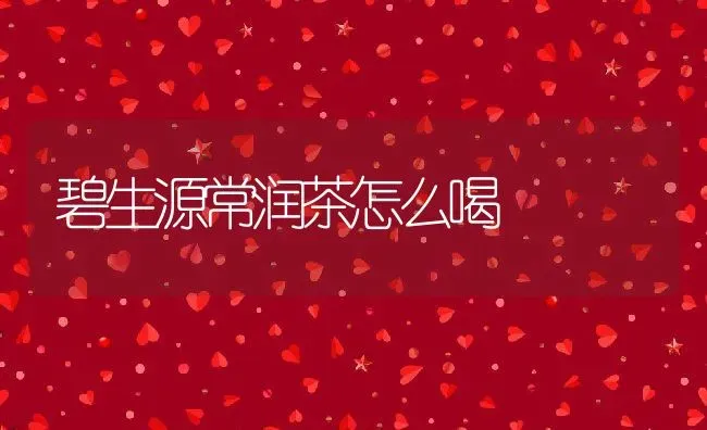 碧生源常润茶怎么喝 | 养殖资料投稿