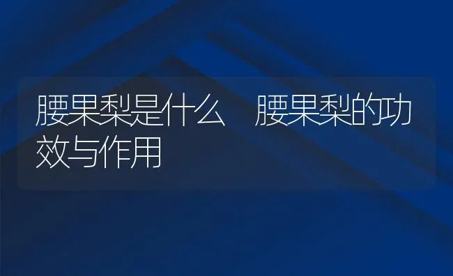腰果梨是什么 腰果梨的功效与作用 | 养殖资料投稿
