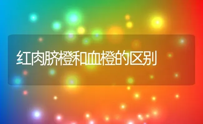 红肉脐橙和血橙的区别 | 养殖资讯