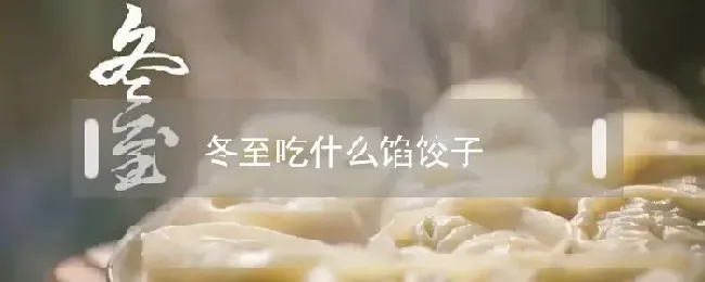 冬至吃什么馅饺子