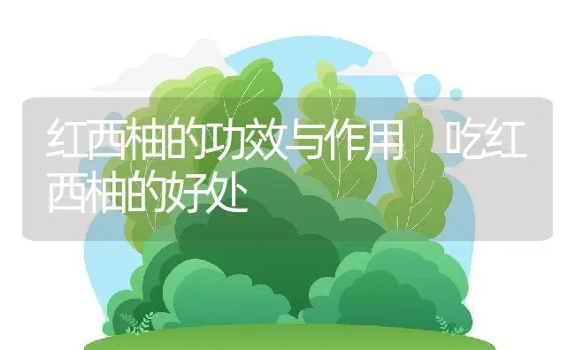 红西柚的功效与作用 吃红西柚的好处 | 养殖资料投稿