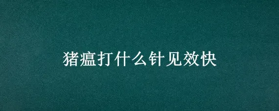 猪瘟打什么针见效快