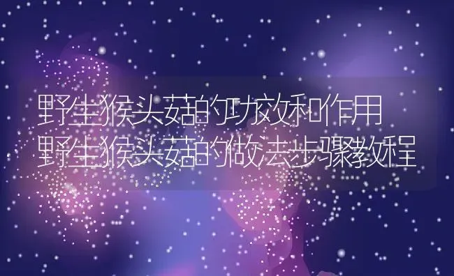 野生猴头菇的功效和作用 野生猴头菇的做法步骤教程 | 养殖资料投稿