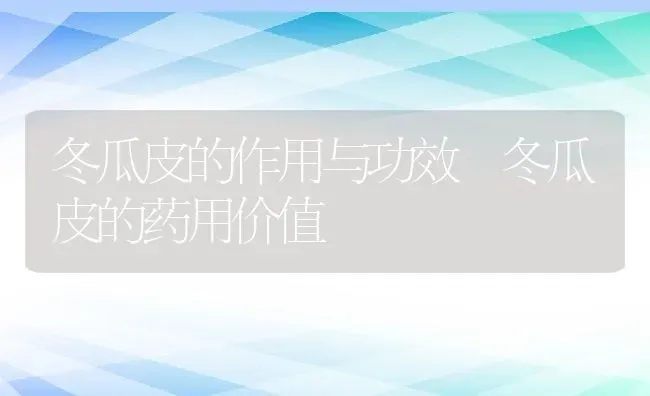 冬瓜皮的作用与功效 冬瓜皮的药用价值 | 养殖资料投稿