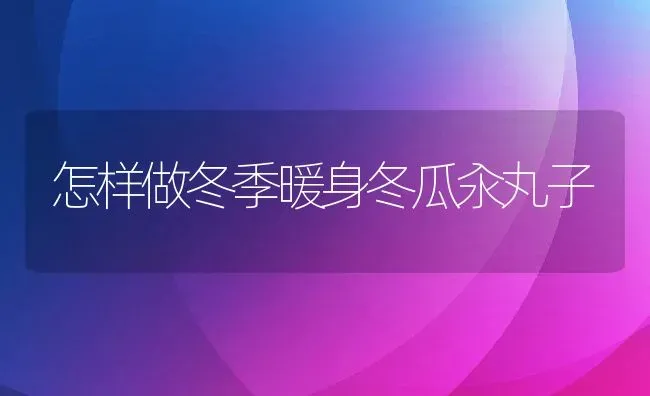 怎样做冬季暖身冬瓜汆丸子 | 养殖资料投稿