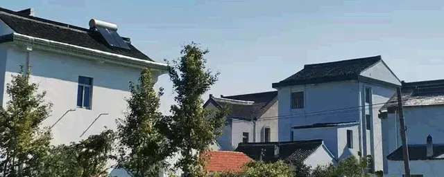跳蚤怎么消灭
