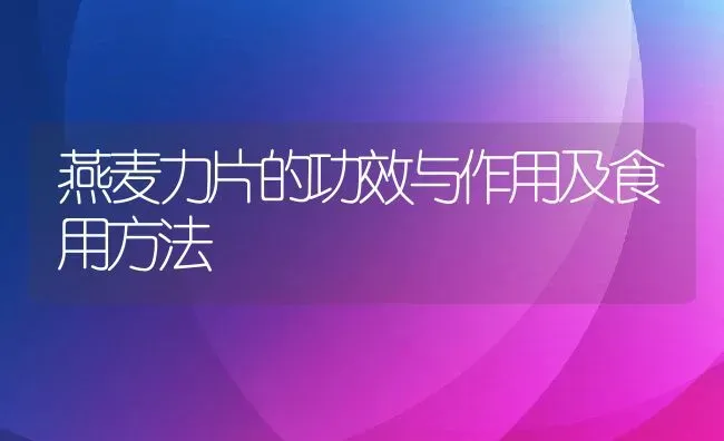 燕麦力片的功效与作用及食用方法 | 养殖资讯