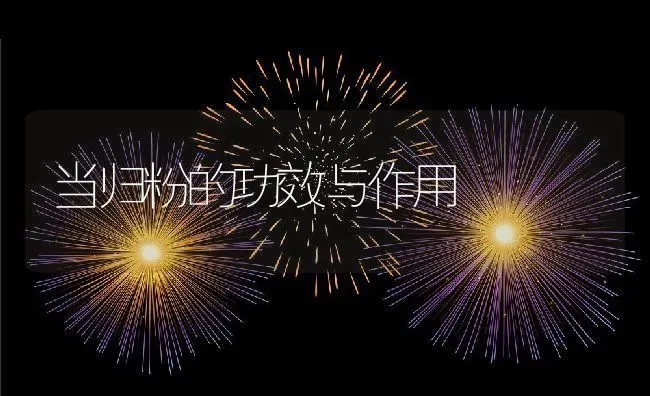 当归粉的功效与作用 | 养殖资料投稿
