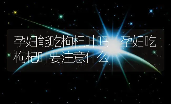 孕妇能吃枸杞叶吗 孕妇吃枸杞叶要注意什么 | 养殖资料投稿