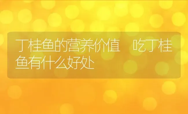 丁桂鱼的营养价值 吃丁桂鱼有什么好处 | 养殖资料投稿