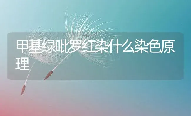 甲基绿吡罗红染什么染色原理 | 养殖资讯