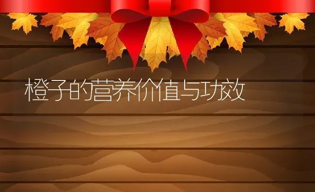 橙子的营养价值与功效 | 养殖资料投稿