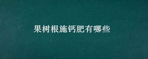 果树根施钙肥有哪些