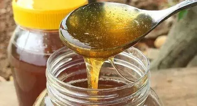 乌桕蜜的功效与作用及禁忌人群