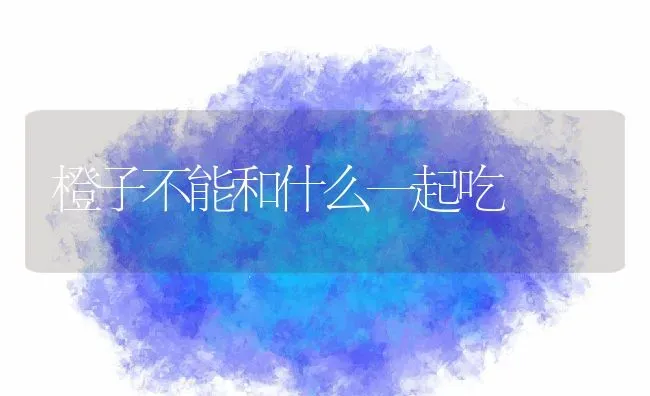 橙子不能和什么一起吃 | 养殖资料投稿