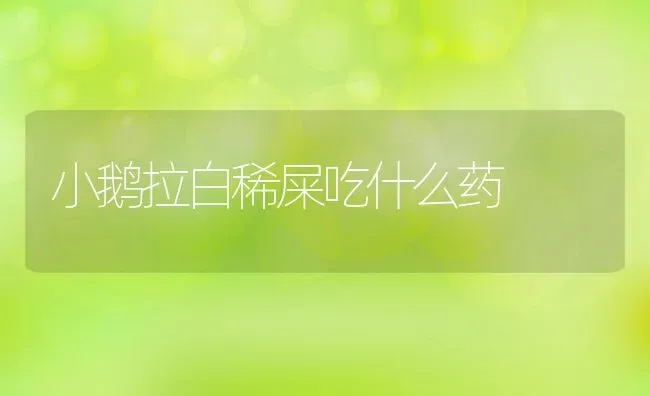 小鹅拉白稀屎吃什么药 | 养殖资讯