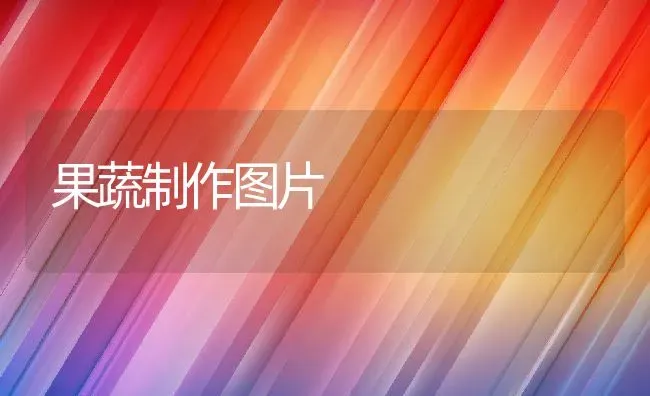 果蔬制作图片 | 养殖资料投稿