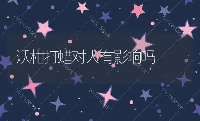 沃柑打蜡对人有影响吗 | 养殖资讯