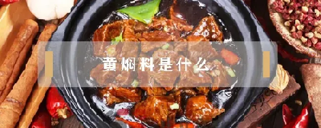 黄焖料是什么