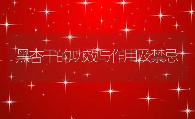 黑杏干的功效与作用及禁忌 | 养殖资料投稿