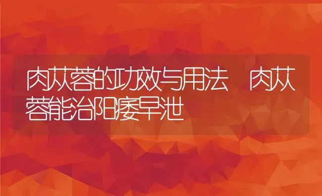 肉苁蓉的功效与用法 肉苁蓉能治阳痿早泄 | 养殖资料投稿