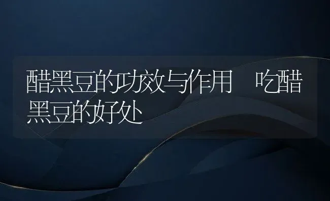 醋黑豆的功效与作用 吃醋黑豆的好处 | 养殖资料投稿