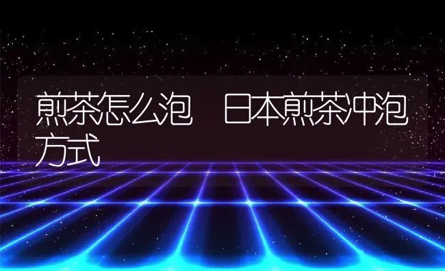 煎茶怎么泡 日本煎茶冲泡方式 | 养殖资料投稿