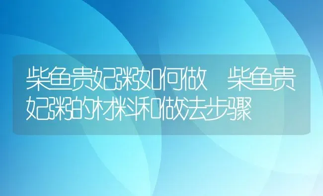 柴鱼贵妃粥如何做 柴鱼贵妃粥的材料和做法步骤 | 养殖资讯