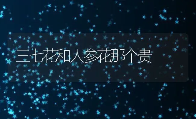 三七花和人参花那个贵 | 养殖资料投稿