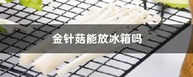 金针菇能放冰箱吗